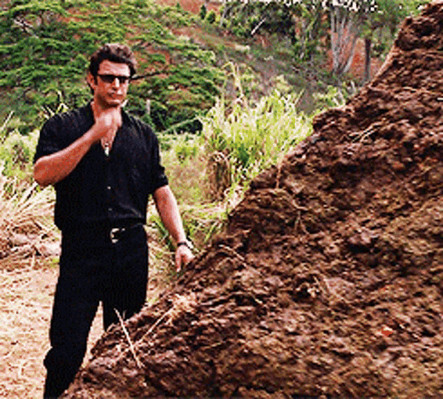 jurassic-park-shade.gif.cf2c174da99560b27784cf134bd0456a.gif
