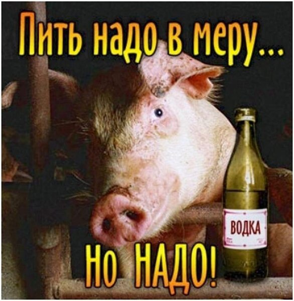 2156.thumb.jpg.ebbffad1bd0f6382002ac59c0f66447d.jpg