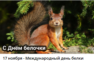 image.png.438565f094262b2d682560463f2c29a3.png