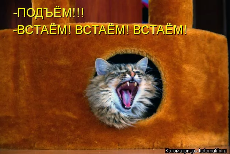 qils73mw.png.215d4055589dec9bdad71063baef5d45.png