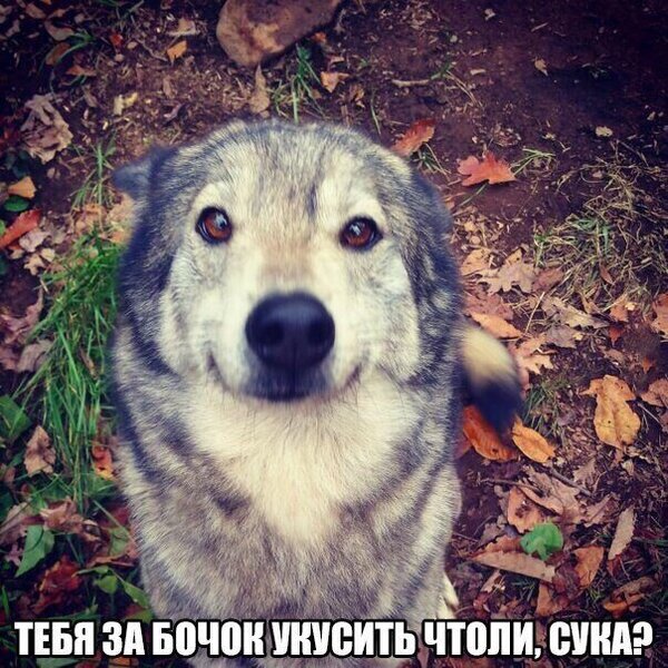 S1QnEejv2Zs.thumb.jpg.6f878a556752d94ff84046898758580d.jpg