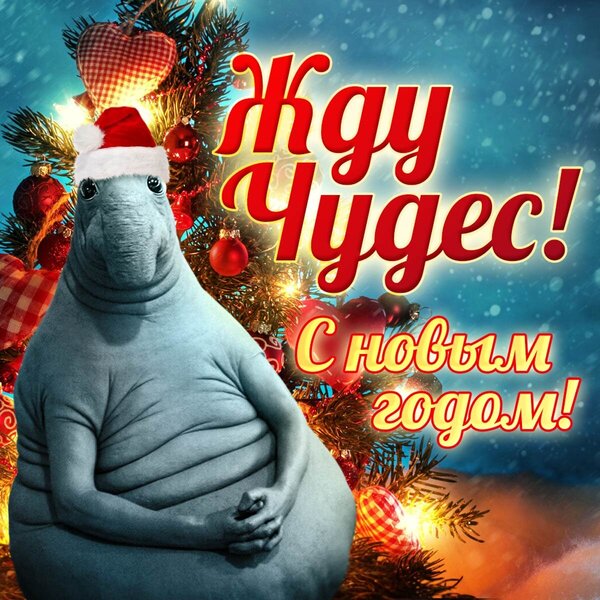 noviy-god-2086.jpg