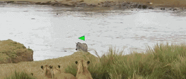 9657182ac65c10388e5268f5f4119313b07e89e5.gif.2ad6c82e8c98e78ce1d200ffad771e68.gif