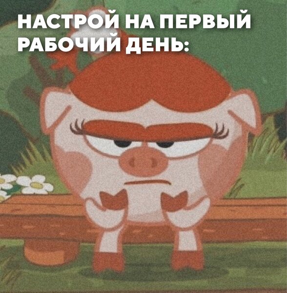 _Hdq-oKPPgA.thumb.jpg.80dc1e931996a0b90a85279754a8e653.jpg