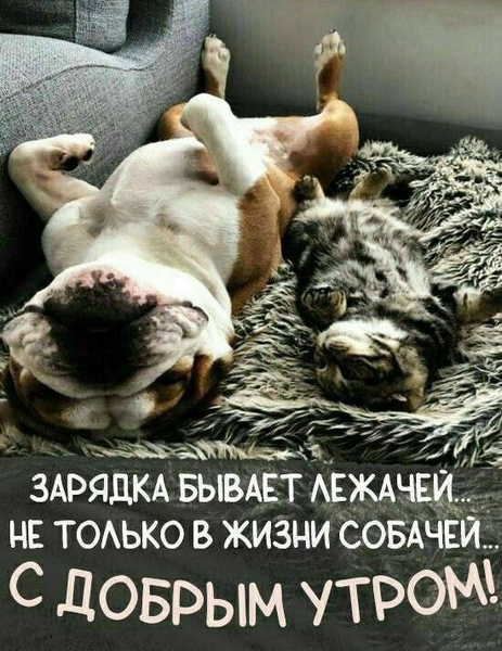 image.thumb.png.0976521ad8be342c3e7b6d713bff4a31.png