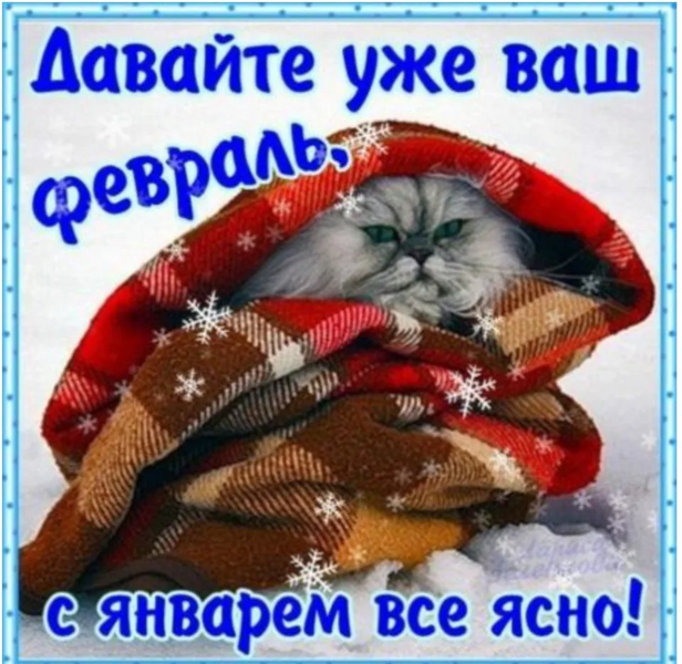 image.thumb.png.0a8a7694a18d8a636c8986a259d34e5e.png