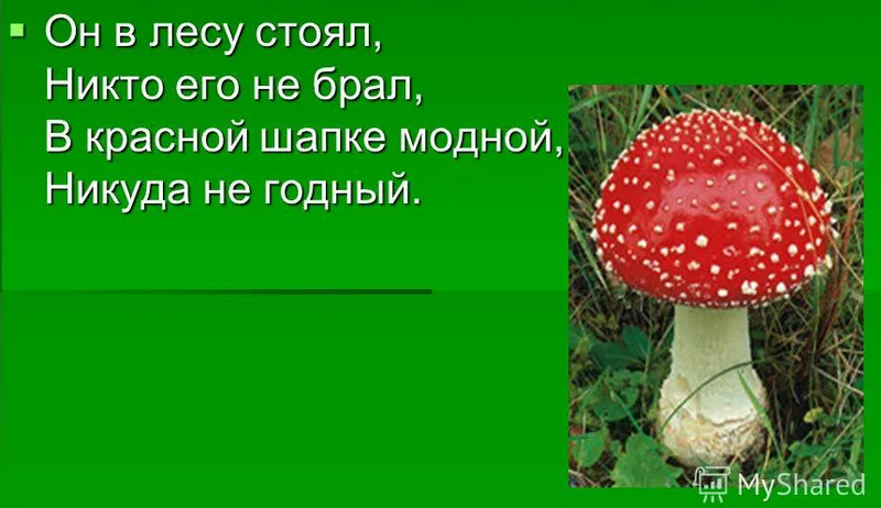 image.thumb.png.696fe8df8355f8bacc1c4c80bfc467a4.png