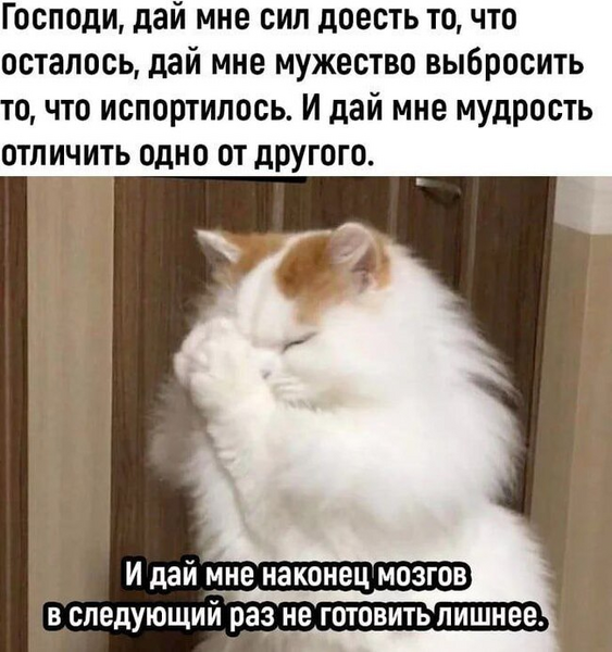 image.thumb.png.6cf0967c8864b4069cf0b81452608581.png
