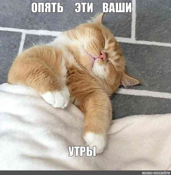 QexQKegyFoc.thumb.jpg.2a24b8f74d60aafb8ea5b2d583c8b49f.jpg