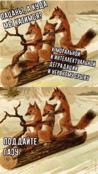 image.png.9fbd3ded64fd73d46b503c2c6aa6892b.png