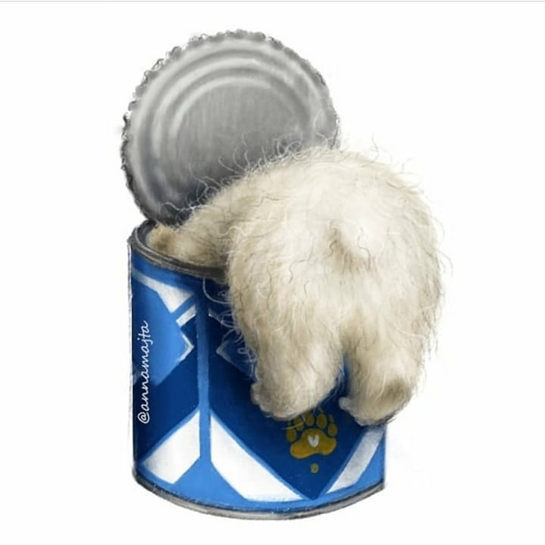 image.thumb.png.16dd0c39bf390d6977cf90df3f821e57.png