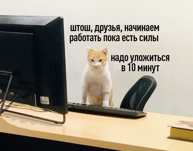 image.thumb.png.d6b19801884068a6c7288c042c1d48ce.png