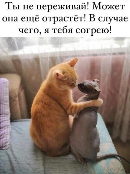 smeshnoj-mem-1-fevralja-2024-17.thumb.jpg.26a2bb113956bf5e1a3334bbeed6878a.jpg