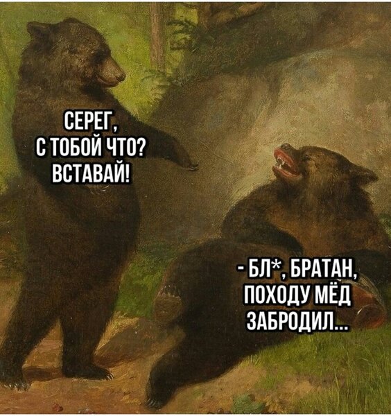 zv5GRYqsMlA.thumb.jpg.1188e41d440846ebfd756de69304639f.jpg