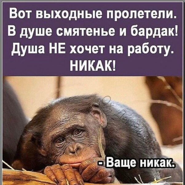 17710533.thumb.jpg.d22cef9d1f1a823135290783bf5fb17c.jpg
