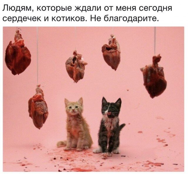 17714435.jpg.12919794ece1a03a8e62f8e0aa0e9d8a.jpg