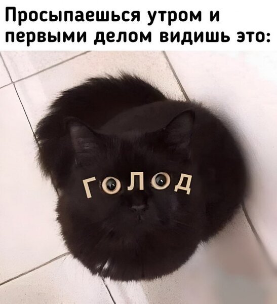 18508638.thumb.jpg.2fe35cefe5457008db2189636c696b9b.jpg