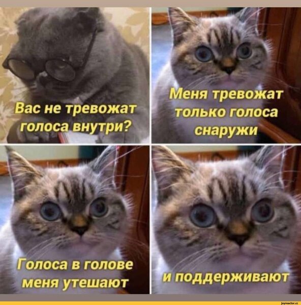 236124809_----8031067.thumb.jpeg.93375e923a74a9ea1c4c89852ebda325.jpeg