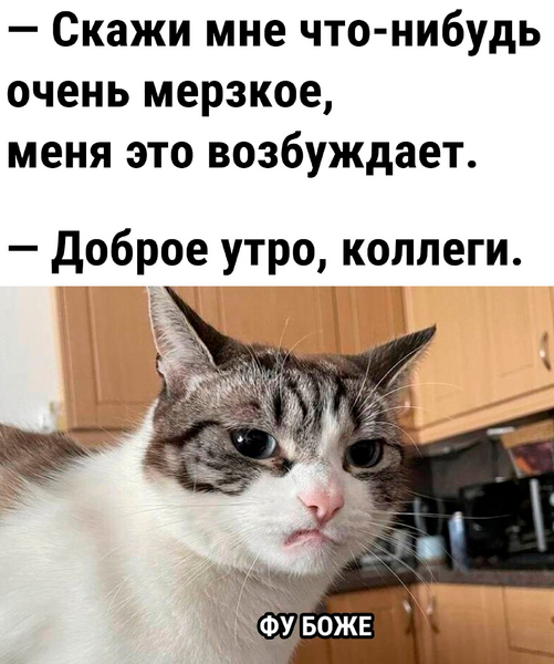 image.thumb.png.93e695f40d2034a04f27cdf3c86d685e.png