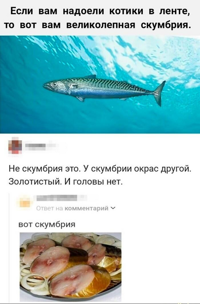 image.thumb.png.fd40ffaa217bf329b9c21f7d5743f307.png