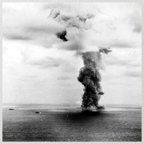 Photo-Yamato's_last_hike_480x480_LG_SPb_MK.jpg