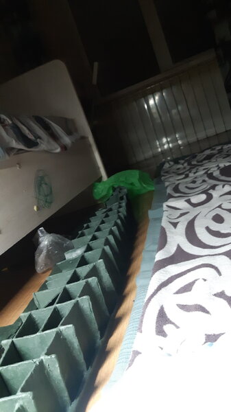 IMG-20240310-WA0008.jpeg