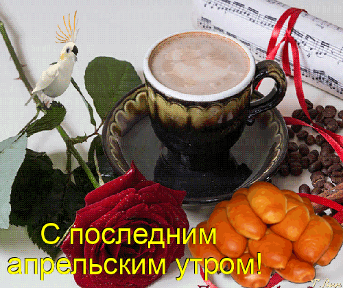 XTXj8.png.ba62167ceabcc084aa0cb24c6bc5241a.png