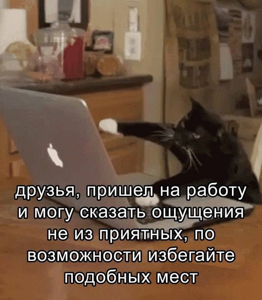 image.thumb.png.59fa045120ab5be3be1f5f28e0e614cd.png