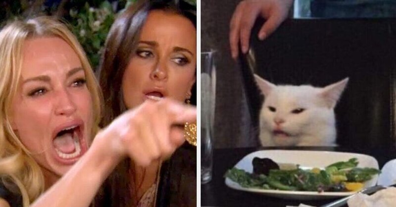 scale_1200.thumb.jpeg.7f4e7d02c09de5da84dfbadc84a2fb24.jpeg