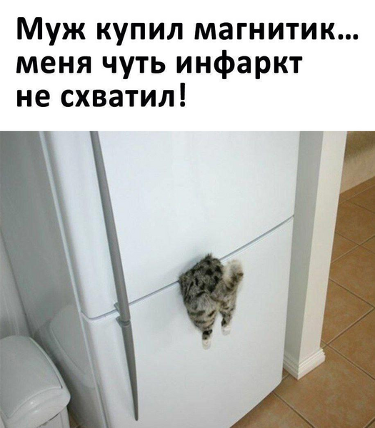 image.thumb.png.6fbcc54d26959b40e64f516745a3005c.png