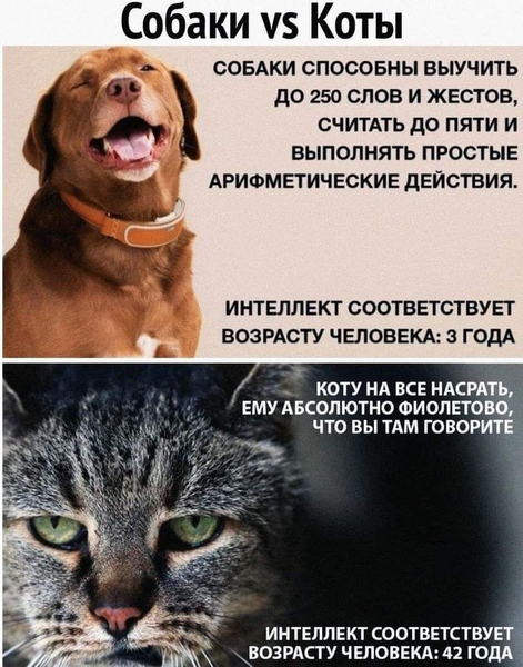 image.thumb.png.b28cc8d3ddf4765d1efe1d7ddf1bda4b.png