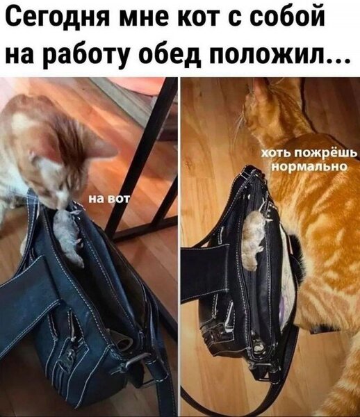 19259528.thumb.jpg.147407e39be7937fd6796e9d92f3c05a.jpg