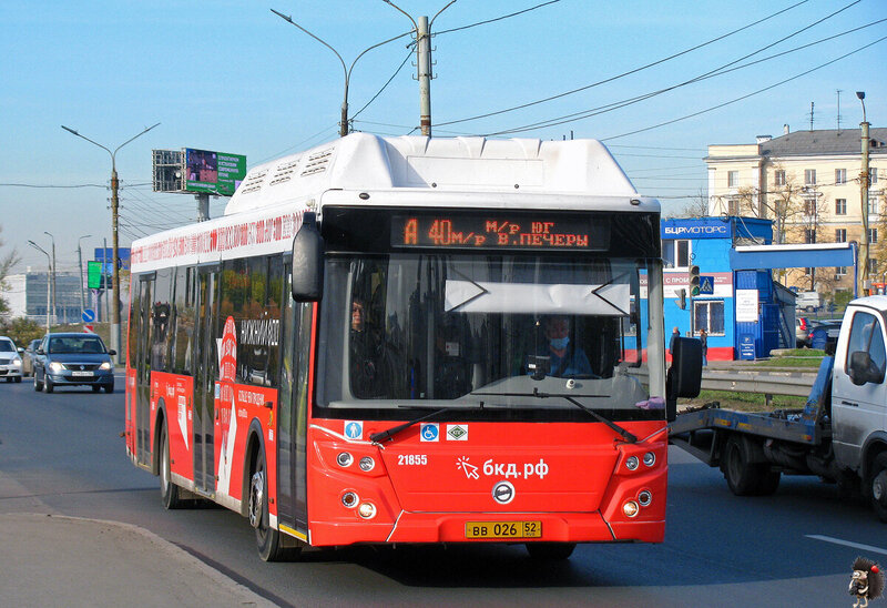 2826200.jpg