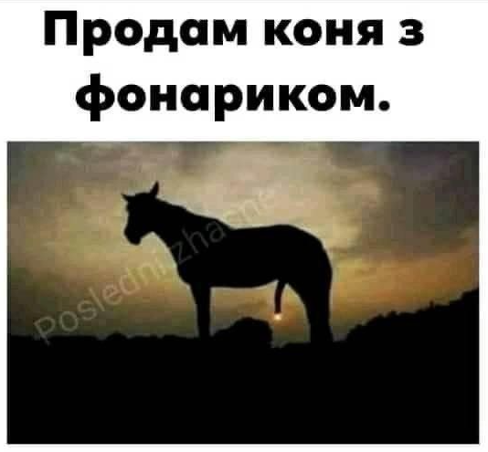 Untitled.png.fb0ab016b36f5a2c584296a7d43a052f.png