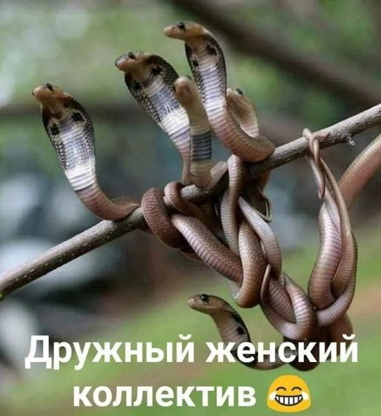 Untitled.thumb.png.264ccfc161263db8503accd9864aac7a.png