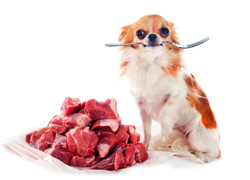 image.thumb.png.ce44624e4e0a03c92f77022d3aa45ac4.png