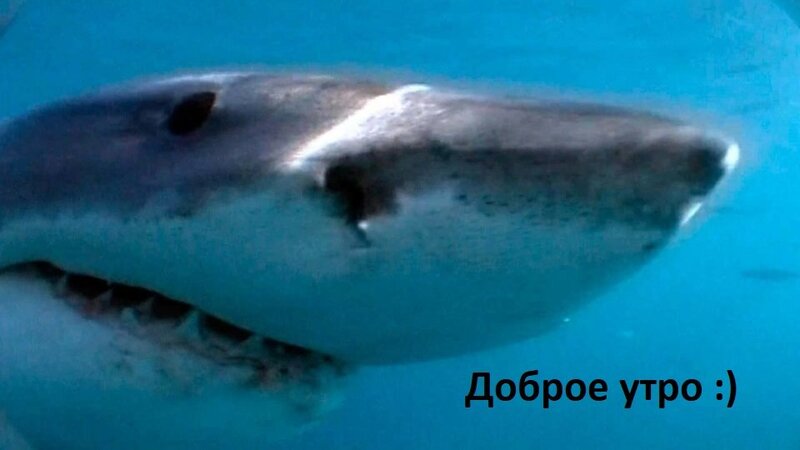 261755_big_32fafafd58.jpg