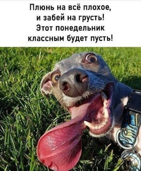 image.png.b980e12cde16d71f30b7aeb0c0173e69.png