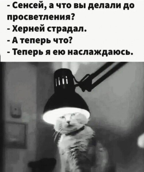 1146E278-959D-4BC7-8B26-1D0DA8140E5A.thumb.jpeg.b65b60dfe318aafdb1562d39e8453a9e.jpeg