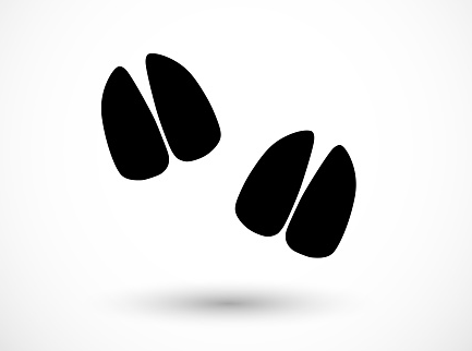 1150703295_Screenshot2025-03-21163453.png.57f2c7974c96d0a7e3c4e6b95771b1a3.png