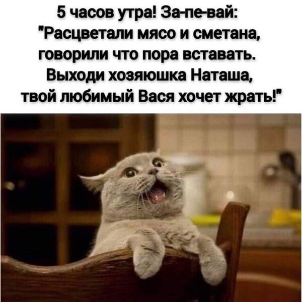 19904668.thumb.jpg.e976bc2bf020a9843c322374d24d9d24.jpg