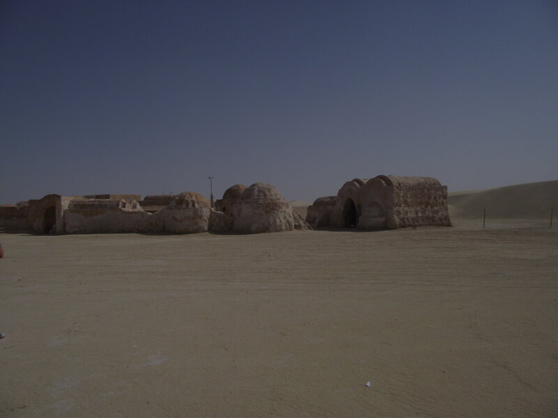 DSCF0487.thumb.JPG.cd5f8d6037b7cd9d20e133a171c24afa.JPG