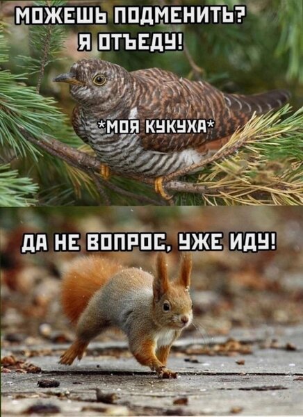 FEF76494-2AB8-4B26-A335-1BDD5860ABB0.thumb.jpeg.f4422ad7c1e4ac059bc8d0e0fa0ea3c9.jpeg