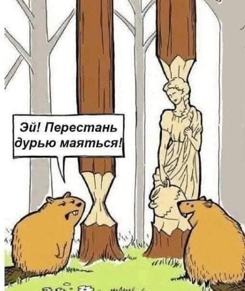fe6ac24f36eba21d84c5a1d618294830.thumb.jpg.93bf6bbbdbce406304931b9d74cc0434.jpg