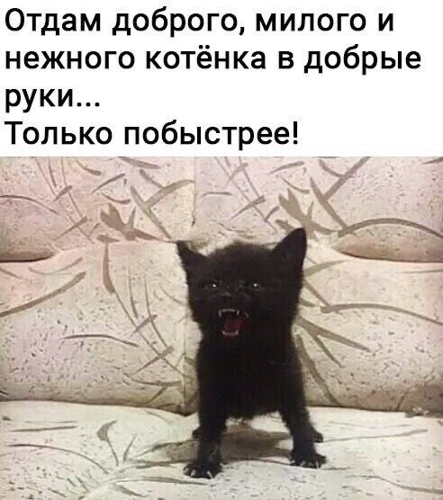 00674D61-9A13-4580-AE07-CB6586D2043C.jpeg.d5382414108a978dd739932829b205f5.jpeg