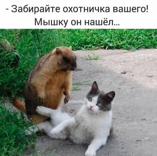 2B9BC1E8-B11C-4851-BE80-4E4F0376693D.thumb.jpeg.0e02452565de27831d912902b7218f49.jpeg