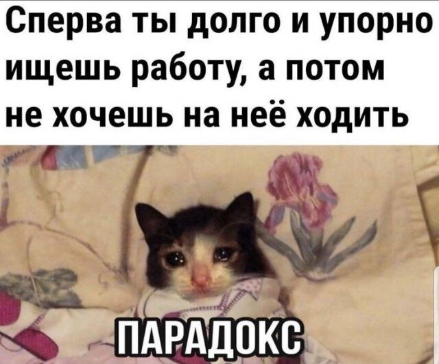 721D973E-9D4C-435B-90CA-DF86E18BC34B.jpeg.7437ee53b341c3c43a61eaaafaa34198.jpeg