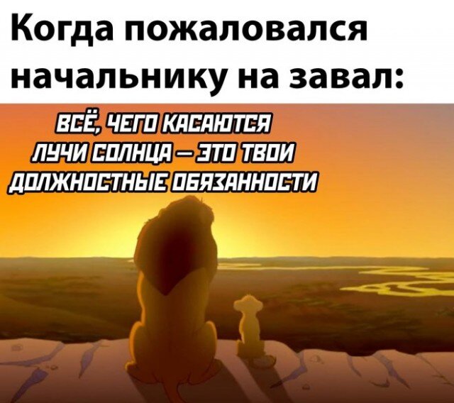 7379F562-8FBA-44C7-8EC5-303105F760CF.jpeg.559307fedc93b13095dff05d6f70fdd1.jpeg