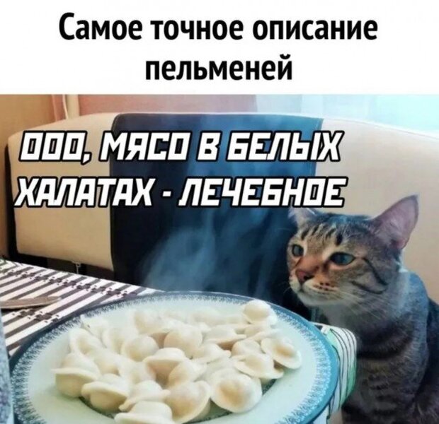 8C524966-4AB5-40B4-A628-824EB2DD6C06.thumb.jpeg.9da567426914d35fd47788a52b9c4317.jpeg