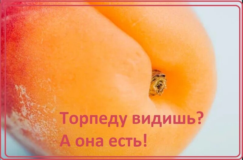 Screenshot_33.thumb.jpg.2f4a16eda88a73671b0abf0d59d69a3d.jpg